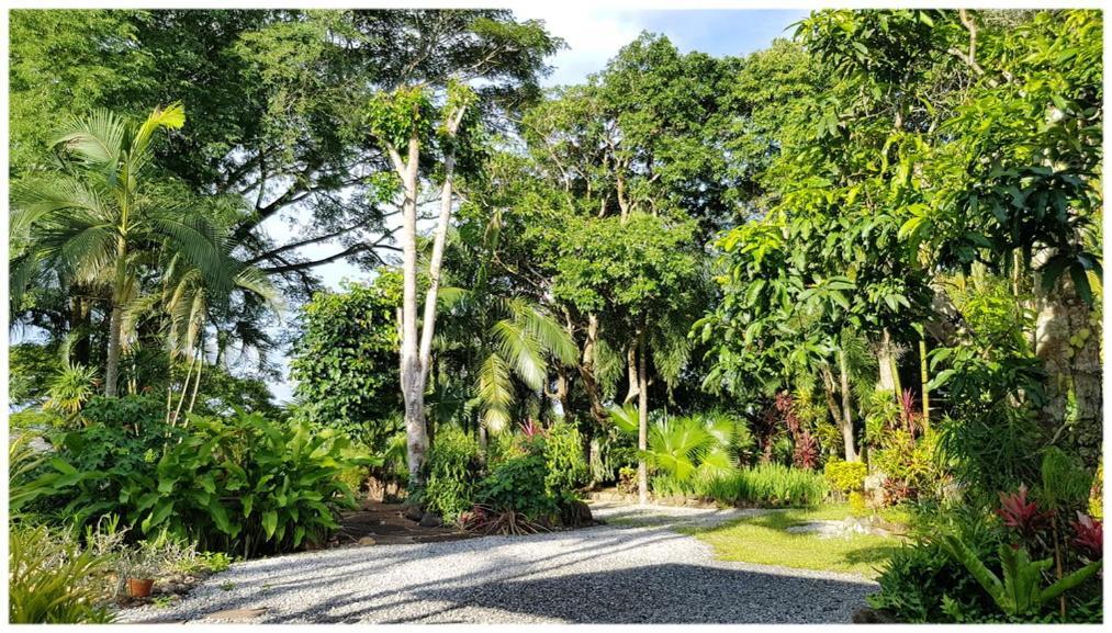 Baan Sakuna Hotel Chiang Khong Esterno foto